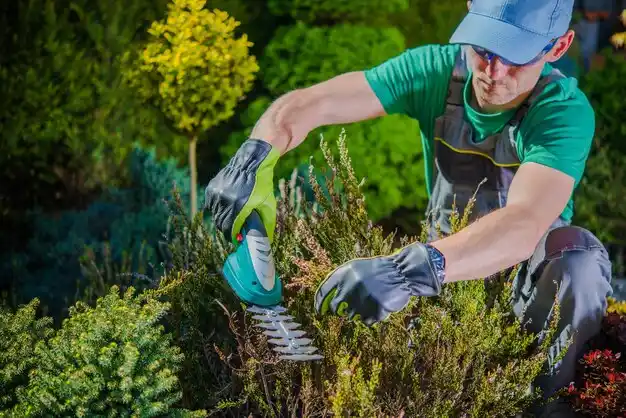 landscaping services Neosho
